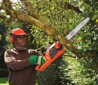 Цепная пила электрическая BLACK&DECKER CS2245-QS 2200вт 450мм-8