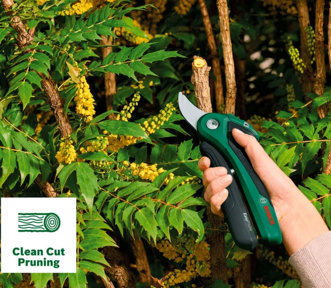 Ножницы аккумуляторные BOSCH EasyPrune (6008B2102) 3.6В 1.5Ач-5