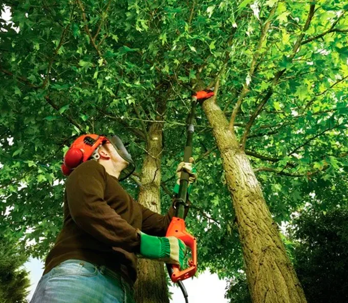 Цепная пила электрическая BLACK&DECKER PS7525 800вт 250мм-5