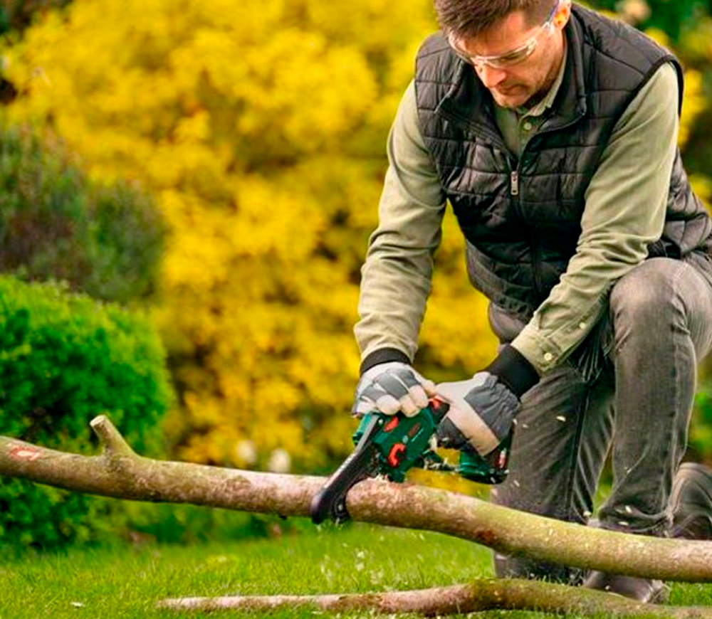 Цепная пила аккумуляторная BOSCH EasyChain 150мм 18В 2.5Ач photo 1