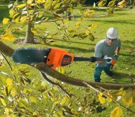 Fierăstrău cu lanț cu acumulator telescop. BLACK&DECKER GPC1820L20-QW 200mm 18V 2Ah-4