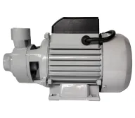 Pompă de grădină RESANTA ПСН-3300Ч 650w 3300l/h-6