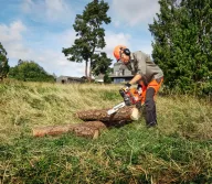 Fierăstrău cu lanț pe benzină Husqvarna 450 II 380mm 50cm3-2