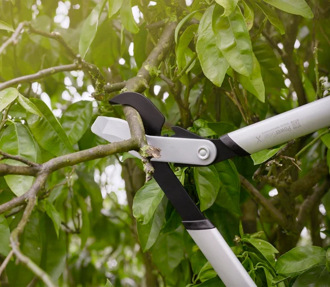 Foarfeci de tăiat crengi FISKARS PowerGearX S LX92 570mm-5