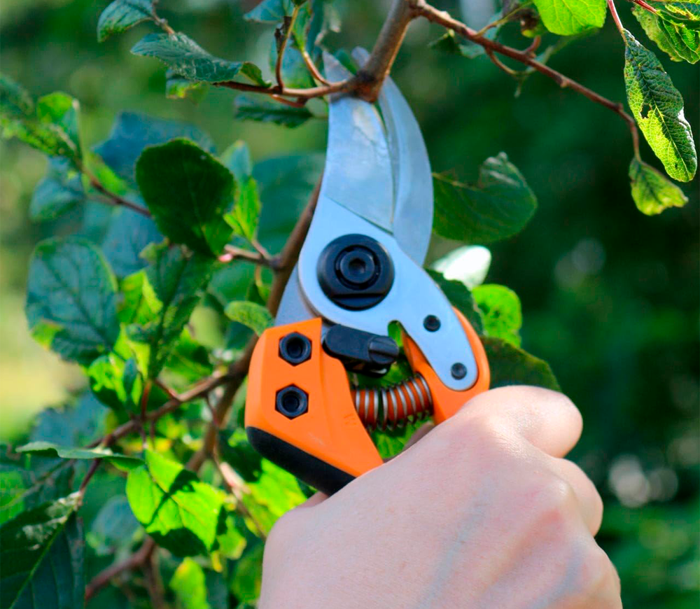 Секатор садовый FISKARS PRO PB-8 L 210мм photo 1