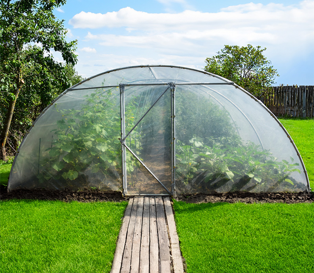 Seră arcuită Demetra 10x4.5x2.5 m 45m² Alb photo 1