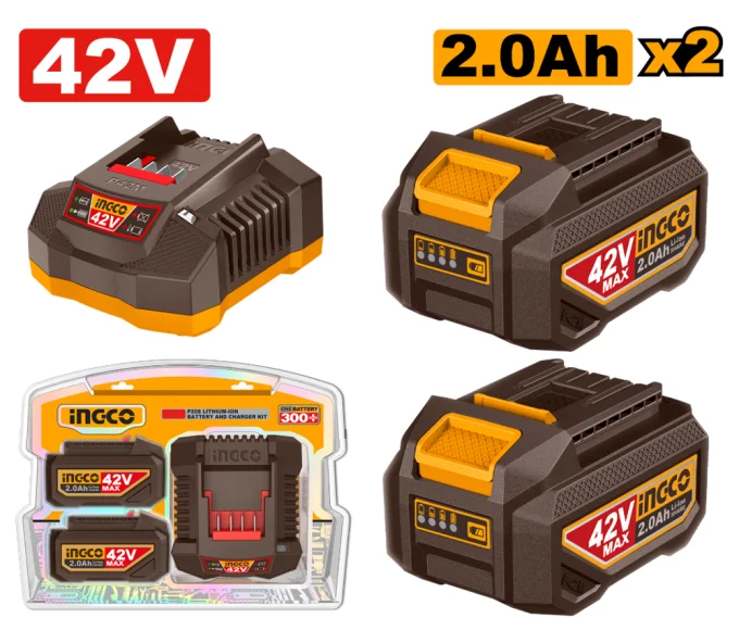 Încărcător cu 2 acumulatoare INGCO FBCPM20221 90w 42V 2A-1