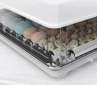 Инкубатор TEHNO-MS MS-130-2
