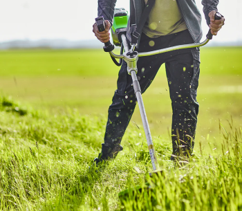 Триммер аккумуляторный Greenworks GD60BCBK2 60В 2Ач photo 0