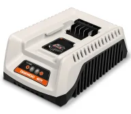 Încărcător DAEWOO DACH 2040Li 100 w 40 V 2 A-1