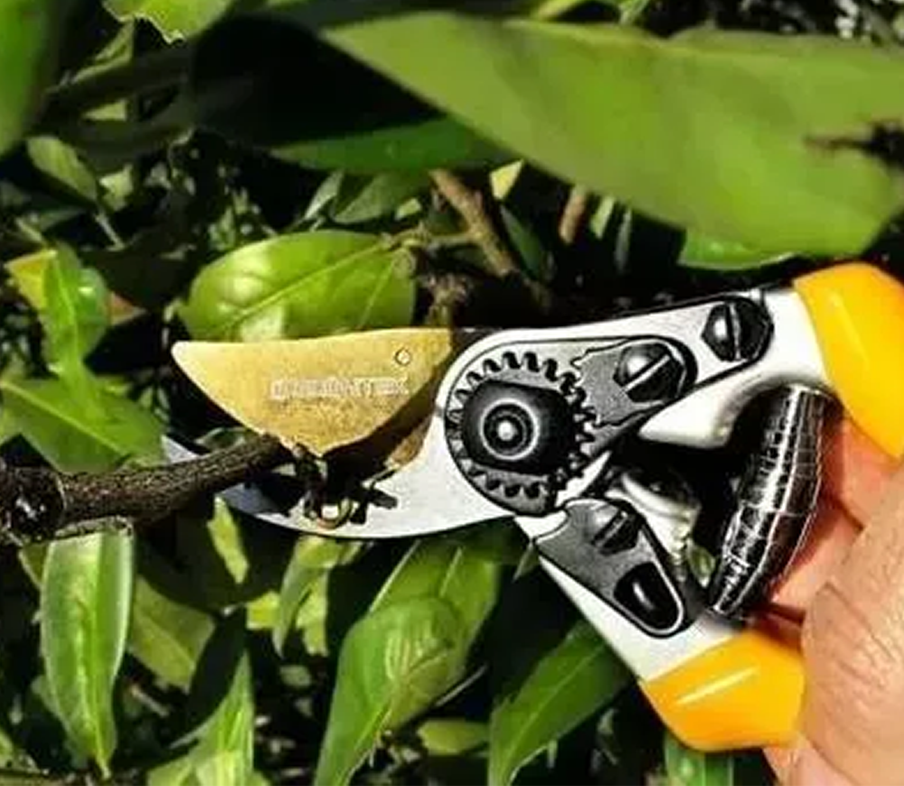 Секатор садовый GRUNTEK Premium Z-25 215 мм-6
