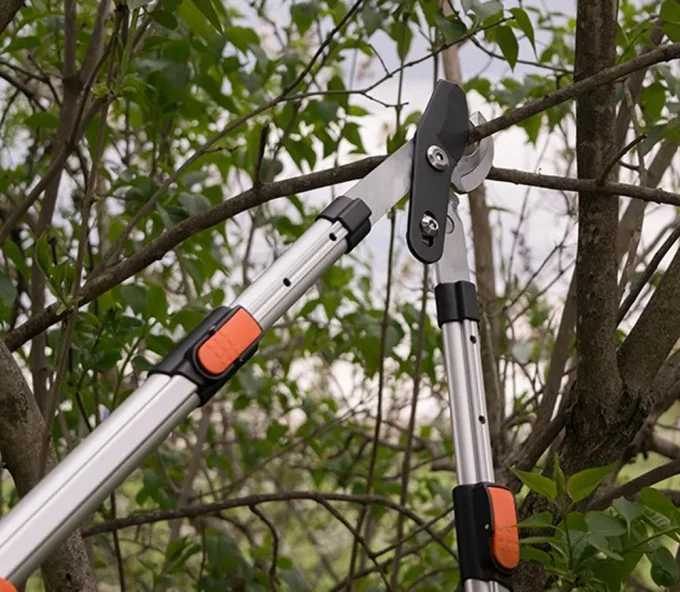 Foarfeci de tăiat crengi telescopice DAEWOO DAHW-CAL103TL 1030 mm-3